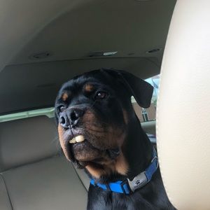 Meet your Posher, Tori